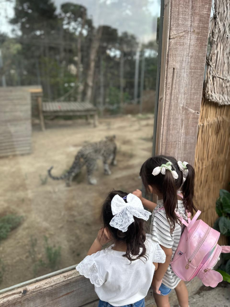 Two young girls watching a leopard at Baku Zoo in Azerbaijan